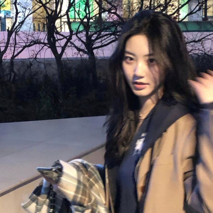 花儿与远方